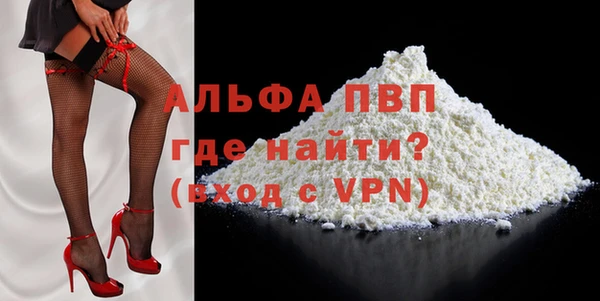 прущие грибы Заволжье