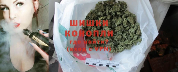 прущие грибы Заволжье