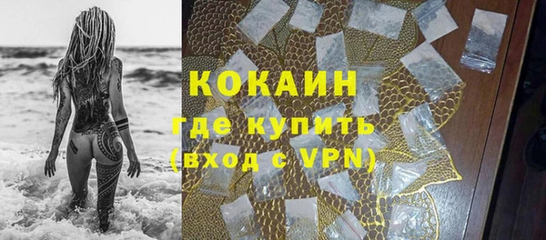 прущие грибы Заволжье