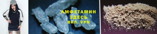 прущие грибы Заволжье