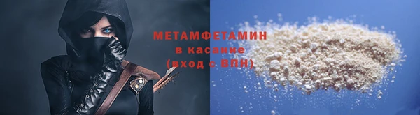 прущие грибы Заволжье
