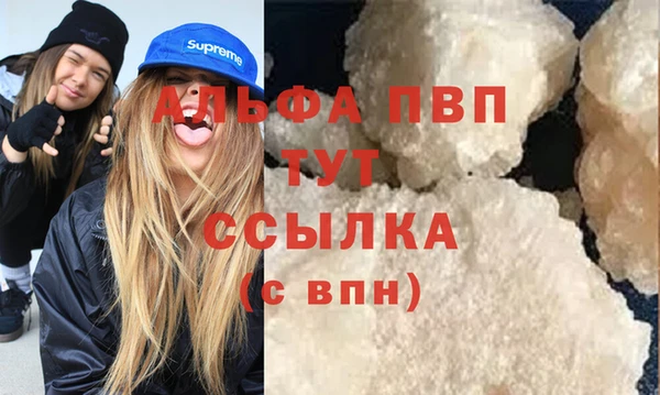 прущие грибы Заволжье