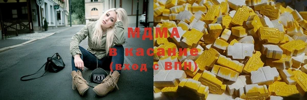 прущие грибы Заволжье