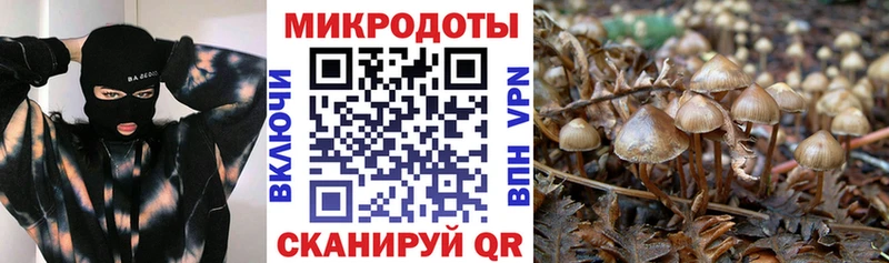 Галлюциногенные грибы мицелий  Купить закладки  Калтан 
